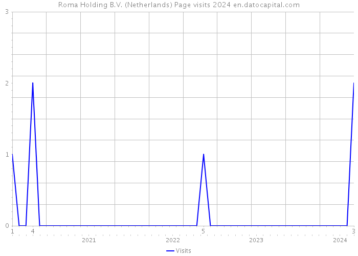 Roma Holding B.V. (Netherlands) Page visits 2024 