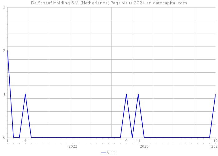 De Schaaf Holding B.V. (Netherlands) Page visits 2024 