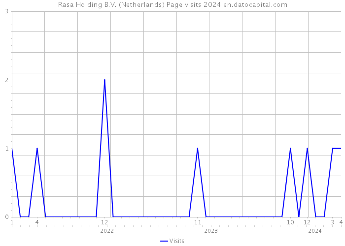 Rasa Holding B.V. (Netherlands) Page visits 2024 