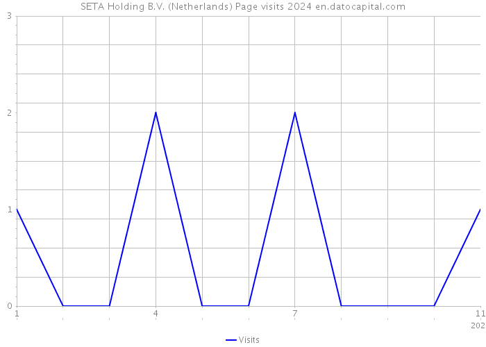 SETA Holding B.V. (Netherlands) Page visits 2024 
