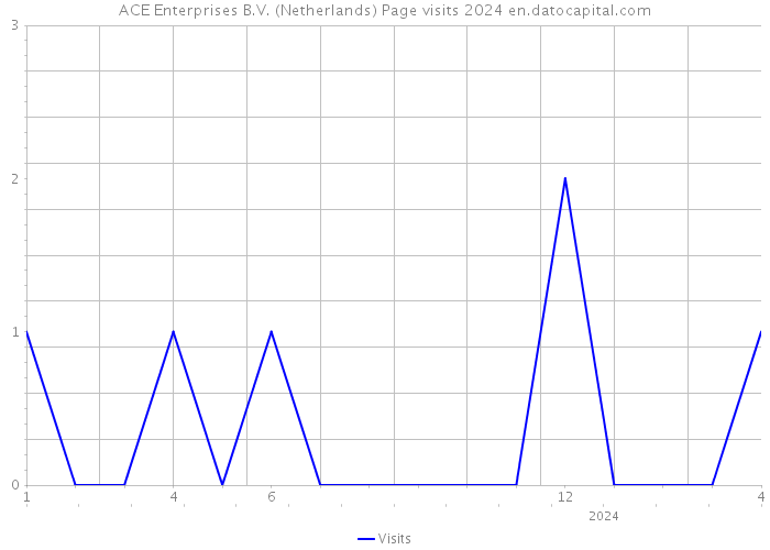 ACE Enterprises B.V. (Netherlands) Page visits 2024 