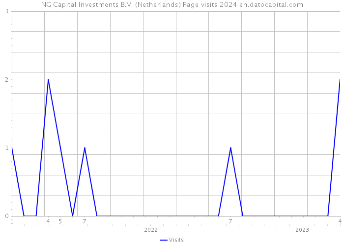 NG Capital Investments B.V. (Netherlands) Page visits 2024 