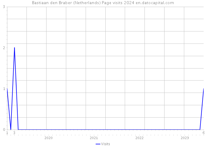 Bastiaan den Braber (Netherlands) Page visits 2024 