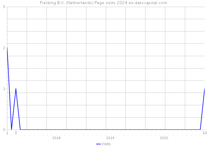 Fielding B.V. (Netherlands) Page visits 2024 
