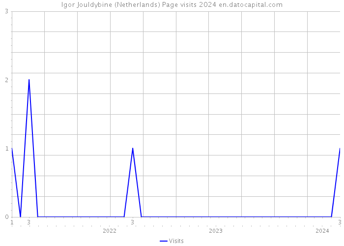 Igor Jouldybine (Netherlands) Page visits 2024 