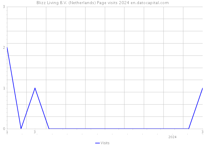 Blizz Living B.V. (Netherlands) Page visits 2024 