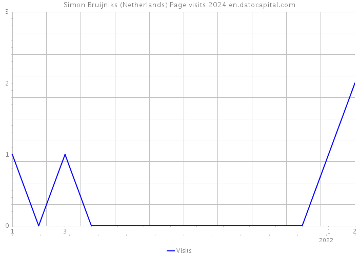 Simon Bruijniks (Netherlands) Page visits 2024 