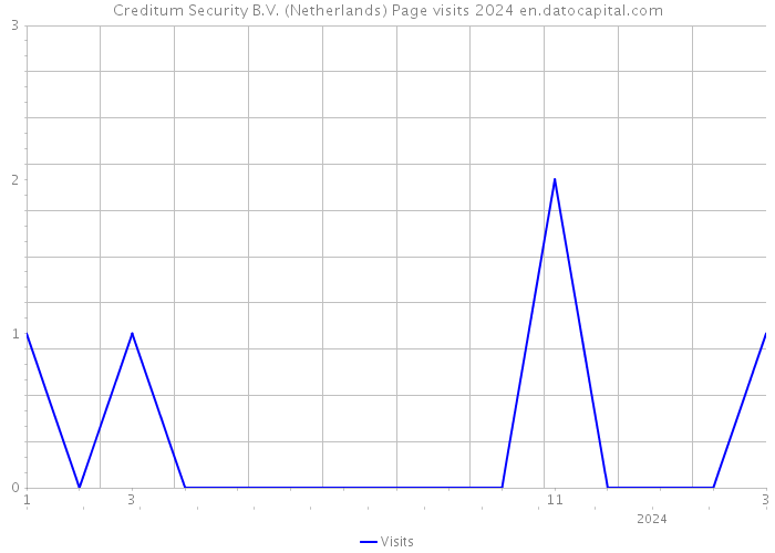 Creditum Security B.V. (Netherlands) Page visits 2024 