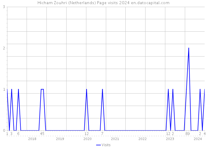 Hicham Zouhri (Netherlands) Page visits 2024 