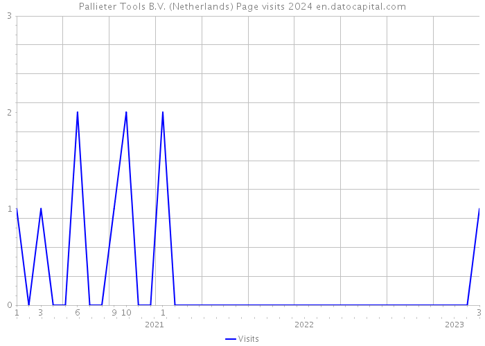 Pallieter Tools B.V. (Netherlands) Page visits 2024 