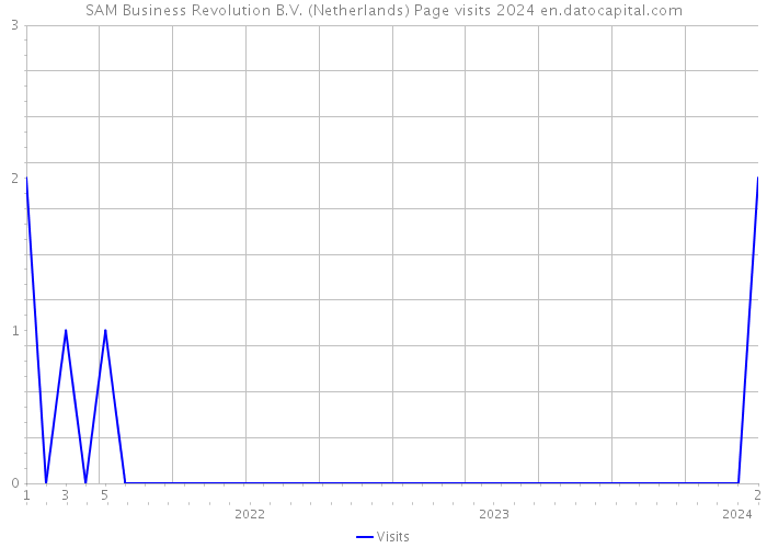 SAM Business Revolution B.V. (Netherlands) Page visits 2024 