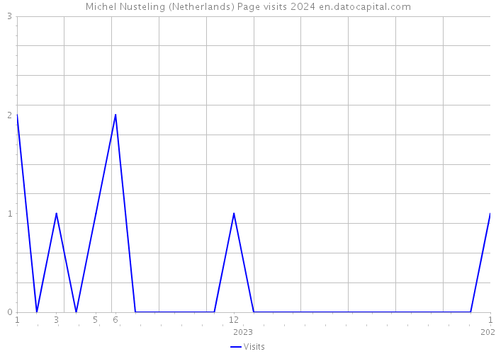Michel Nusteling (Netherlands) Page visits 2024 