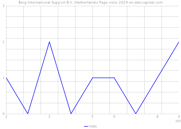 Berg International Support B.V. (Netherlands) Page visits 2024 