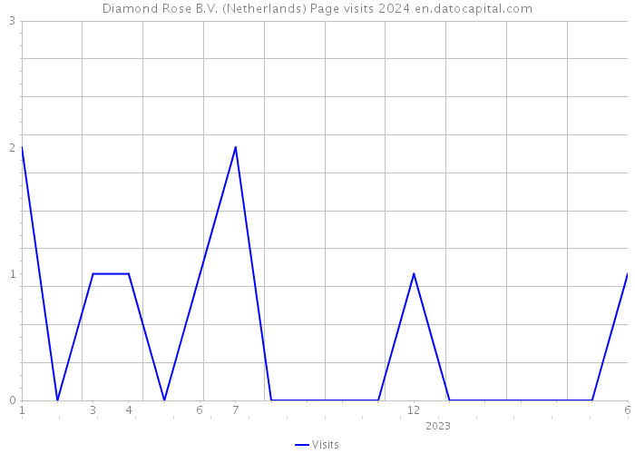 Diamond Rose B.V. (Netherlands) Page visits 2024 