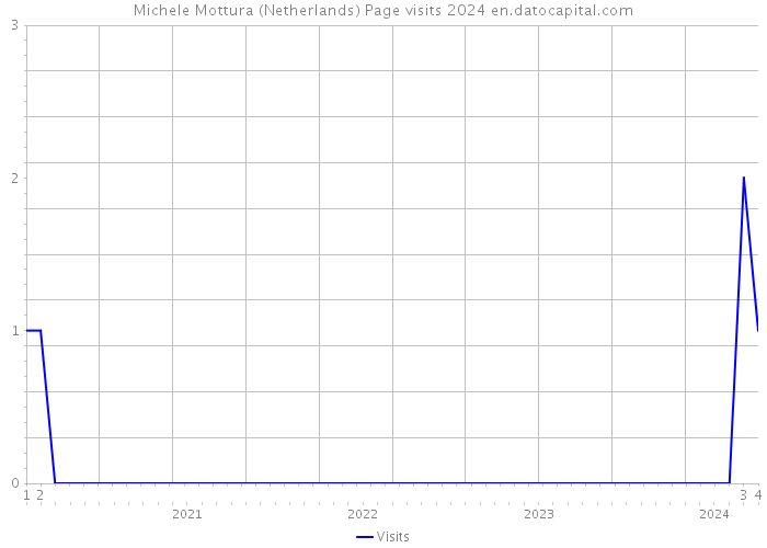Michele Mottura (Netherlands) Page visits 2024 