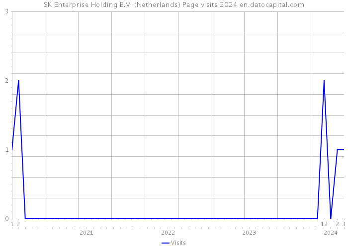 SK Enterprise Holding B.V. (Netherlands) Page visits 2024 