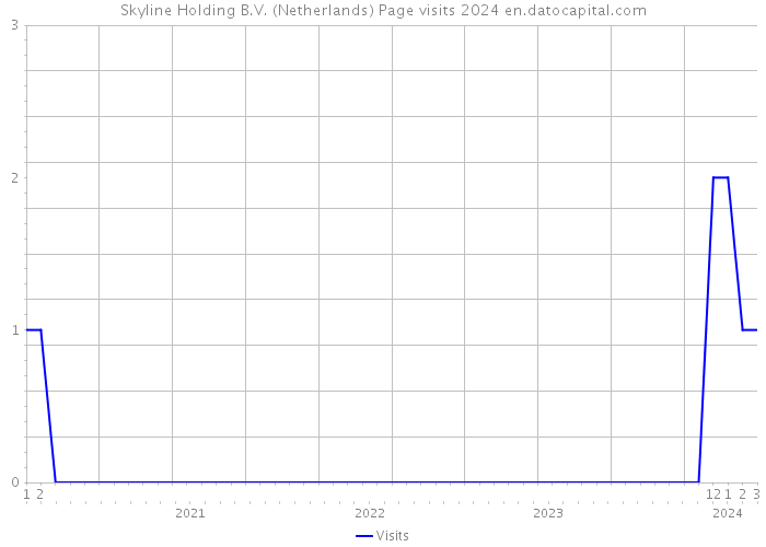Skyline Holding B.V. (Netherlands) Page visits 2024 