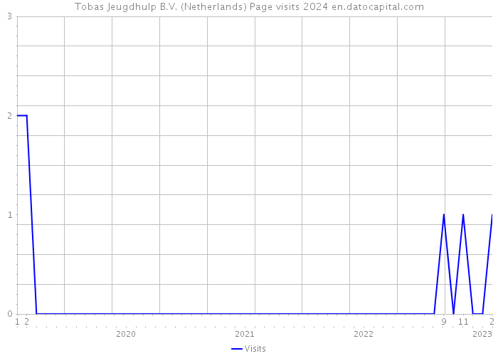 Tobas Jeugdhulp B.V. (Netherlands) Page visits 2024 