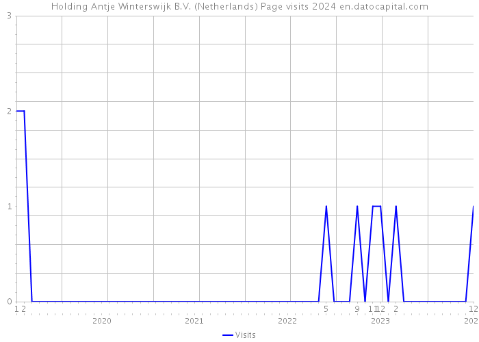 Holding Antje Winterswijk B.V. (Netherlands) Page visits 2024 