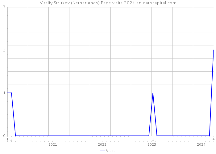 Vitaliy Strukov (Netherlands) Page visits 2024 