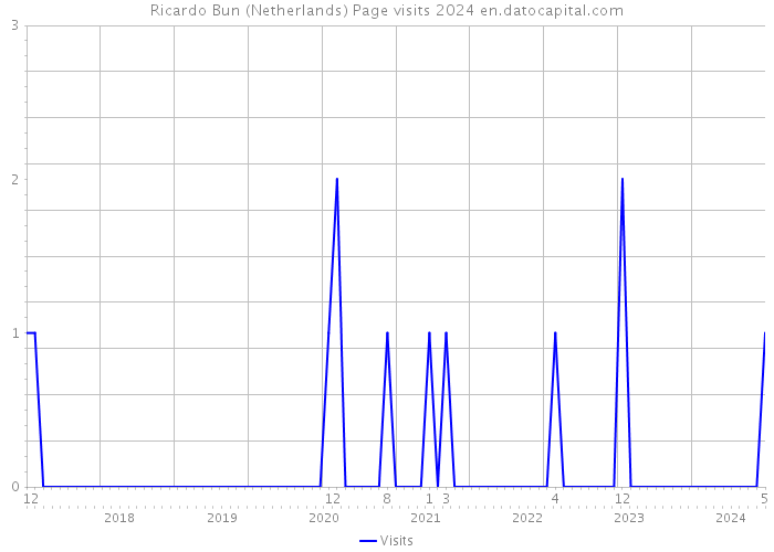 Ricardo Bun (Netherlands) Page visits 2024 