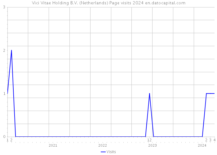 Vici Vitae Holding B.V. (Netherlands) Page visits 2024 