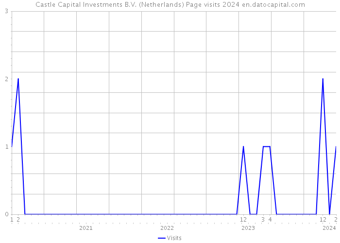 Castle Capital Investments B.V. (Netherlands) Page visits 2024 