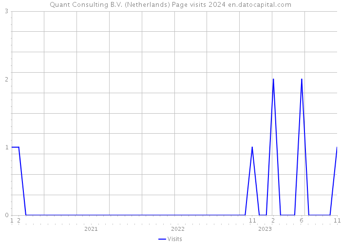 Quant Consulting B.V. (Netherlands) Page visits 2024 