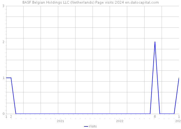 BASF Belgian Holdings LLC (Netherlands) Page visits 2024 