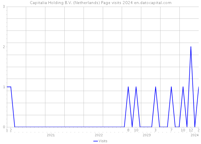 Capitalia Holding B.V. (Netherlands) Page visits 2024 