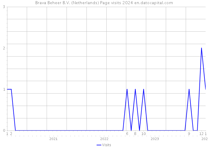Brava Beheer B.V. (Netherlands) Page visits 2024 