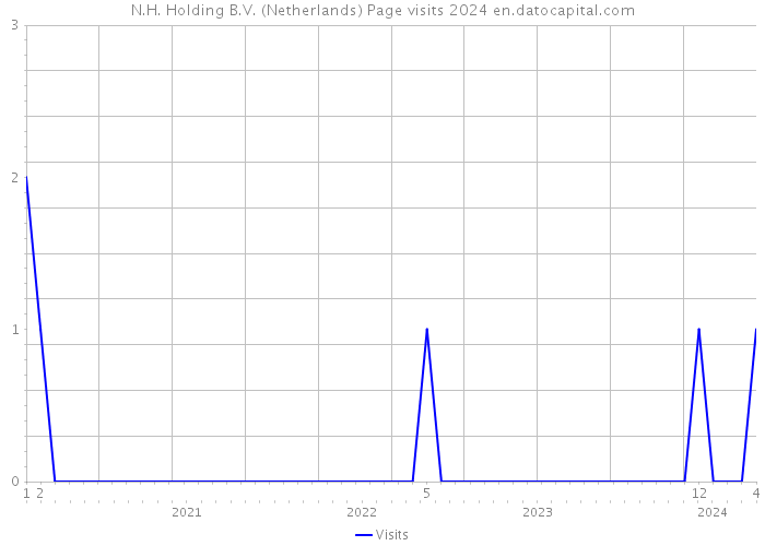 N.H. Holding B.V. (Netherlands) Page visits 2024 