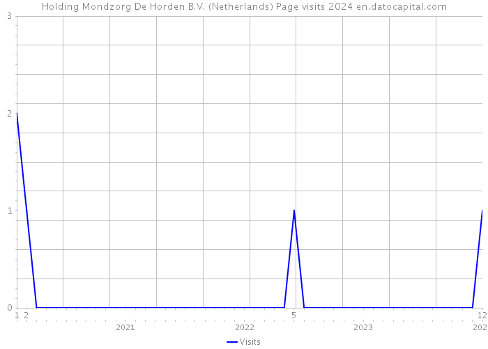 Holding Mondzorg De Horden B.V. (Netherlands) Page visits 2024 