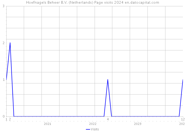 Hoefnagels Beheer B.V. (Netherlands) Page visits 2024 