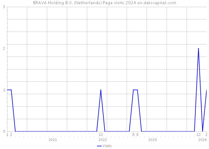 BRAVA Holding B.V. (Netherlands) Page visits 2024 