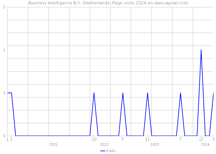 Business Intelligence B.V. (Netherlands) Page visits 2024 