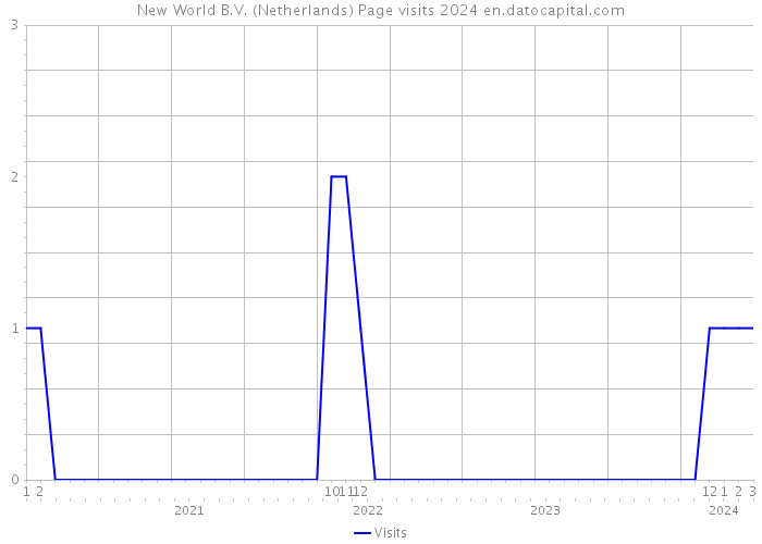 New World B.V. (Netherlands) Page visits 2024 