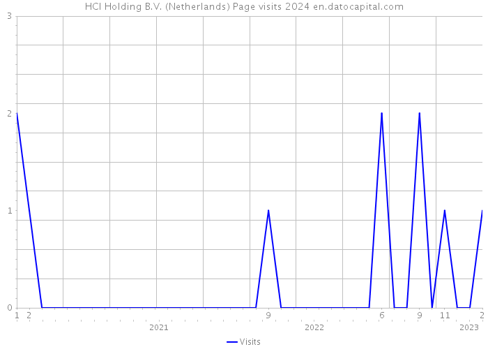 HCI Holding B.V. (Netherlands) Page visits 2024 