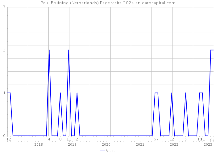 Paul Bruining (Netherlands) Page visits 2024 
