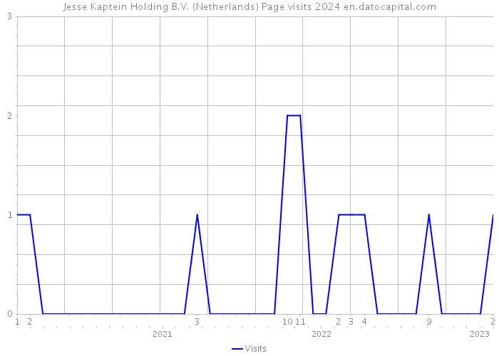 Jesse Kaptein Holding B.V. (Netherlands) Page visits 2024 