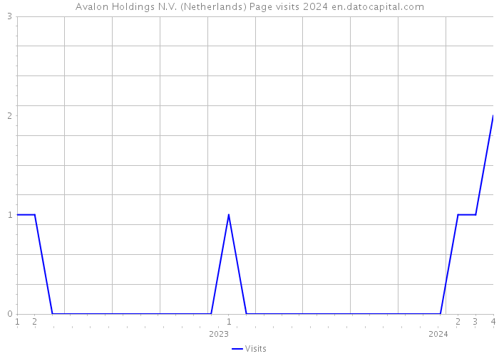 Avalon Holdings N.V. (Netherlands) Page visits 2024 