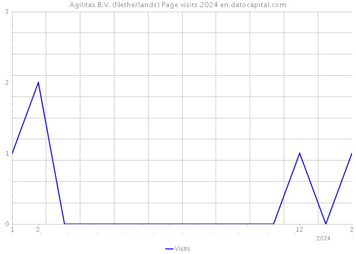Agilitas B.V. (Netherlands) Page visits 2024 