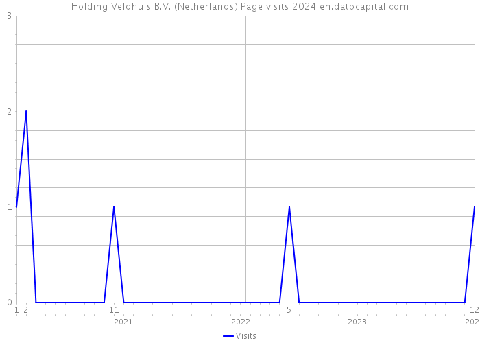 Holding Veldhuis B.V. (Netherlands) Page visits 2024 