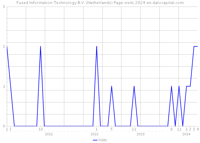 Fused Information Technology B.V. (Netherlands) Page visits 2024 