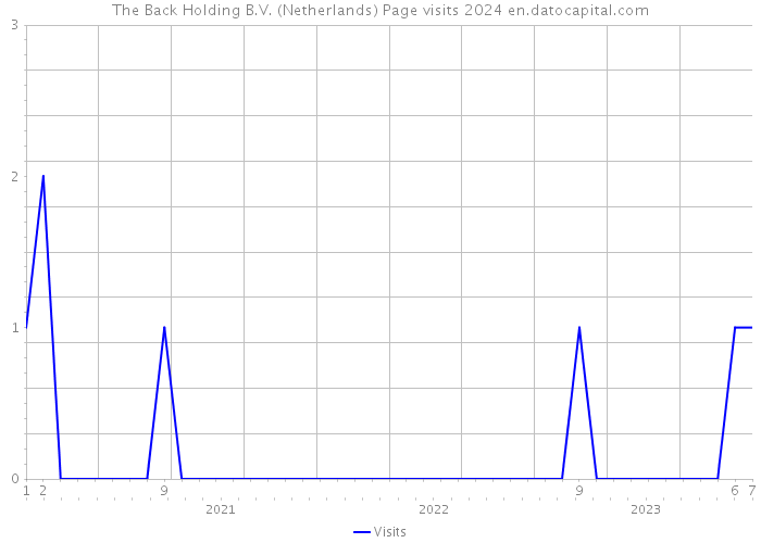 The Back Holding B.V. (Netherlands) Page visits 2024 