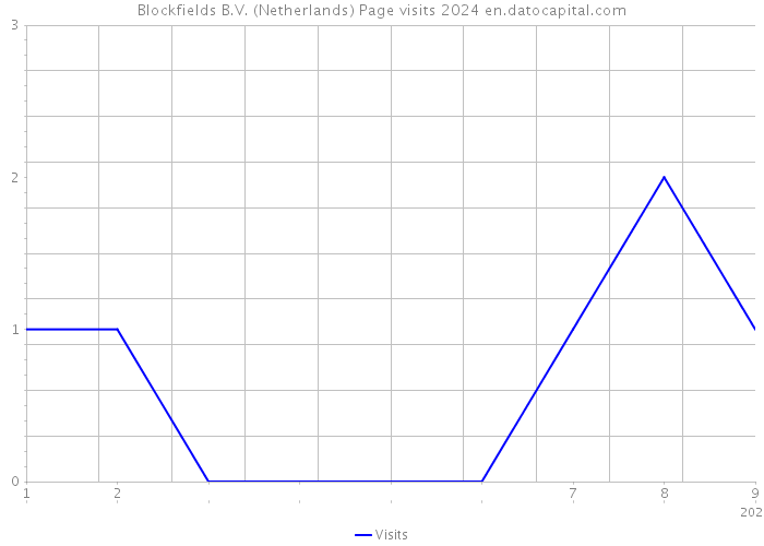 Blockfields B.V. (Netherlands) Page visits 2024 