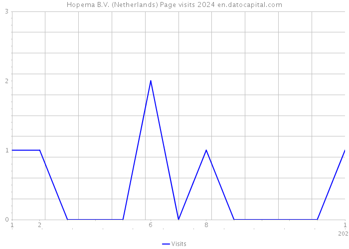 Hopema B.V. (Netherlands) Page visits 2024 