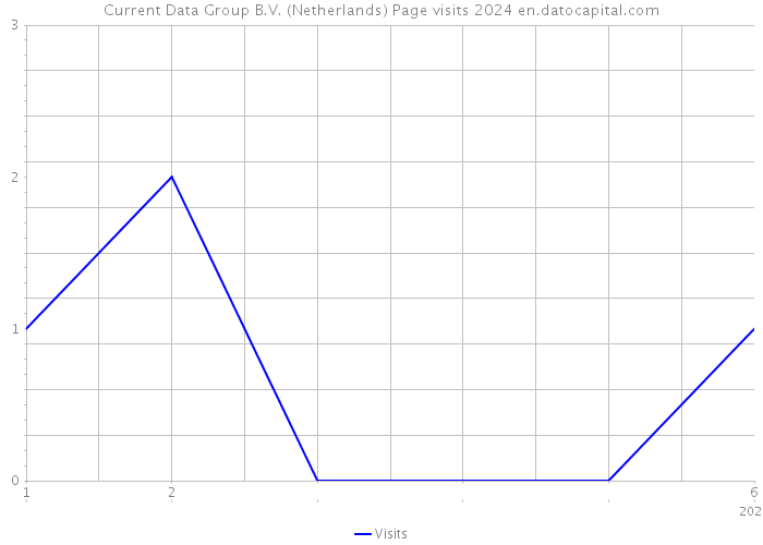 Current Data Group B.V. (Netherlands) Page visits 2024 