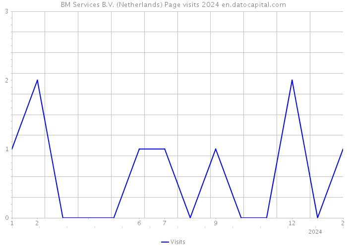 BM Services B.V. (Netherlands) Page visits 2024 