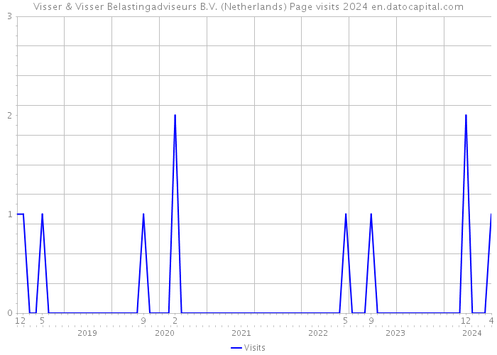 Visser & Visser Belastingadviseurs B.V. (Netherlands) Page visits 2024 